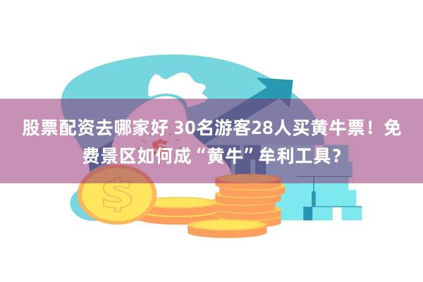 股票配资去哪家好 30名游客28人买黄牛票！免费景区如何成“黄牛”牟利工具？